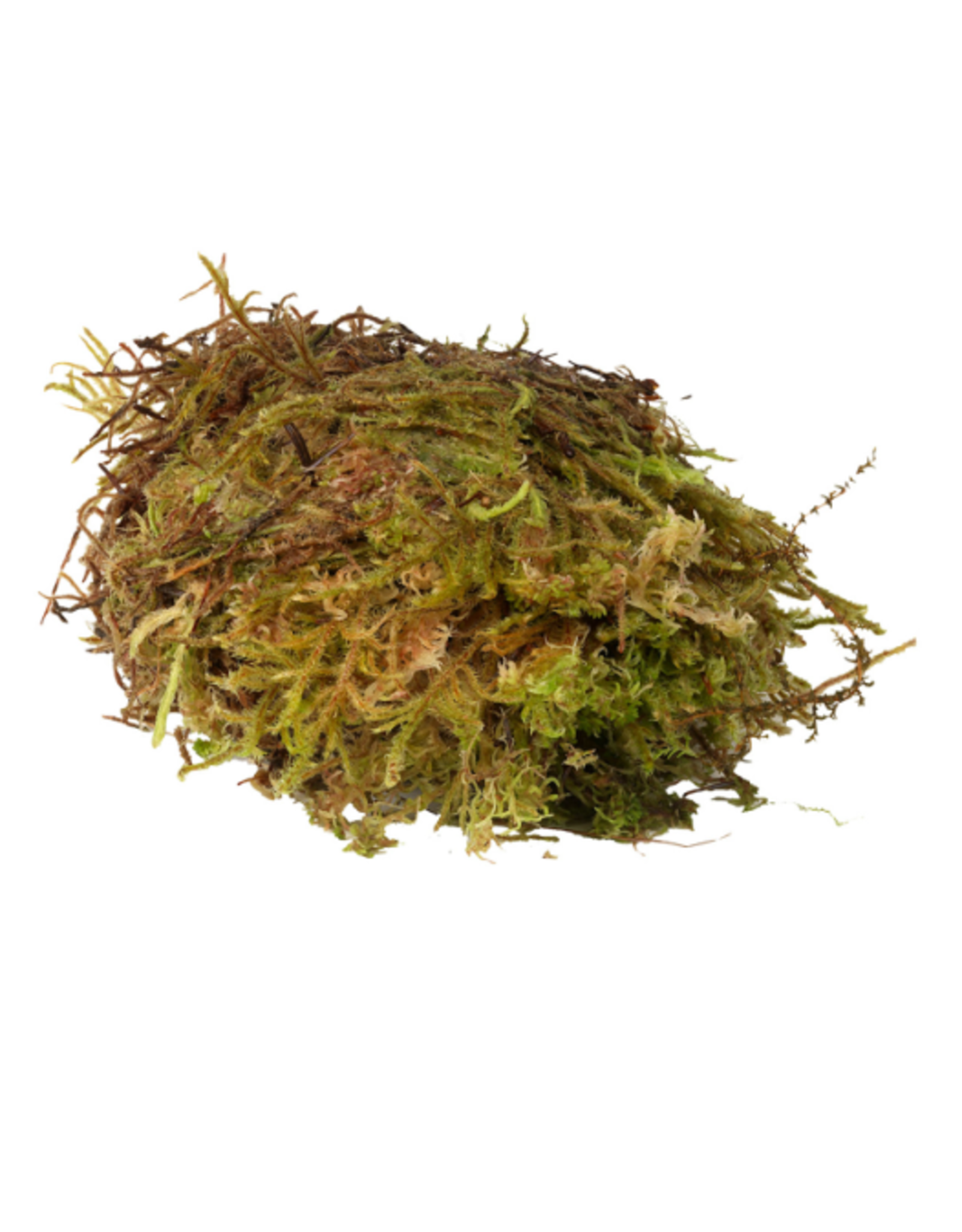 Habistat Habistat Sphagnum Moss 250g