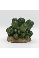 Pro Rep PR Cactus Cluster