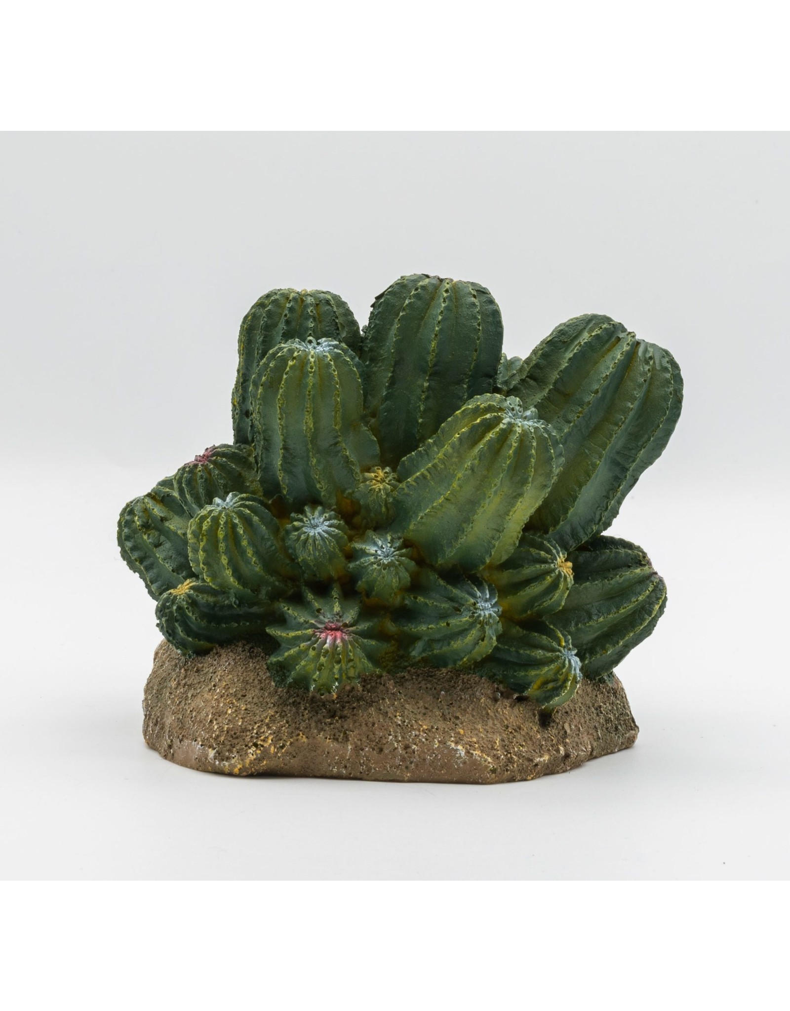 Pro Rep PR Cactus Cluster