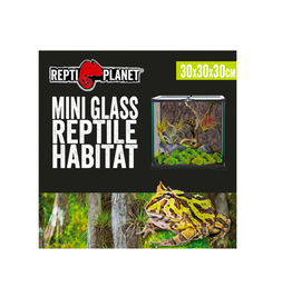 Repti Planet Repti Planet Glass Terrarium 30 x 30 x 30cm