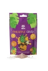 Blue River Diets BRD Gecko Food - Pineapple Crush 60g