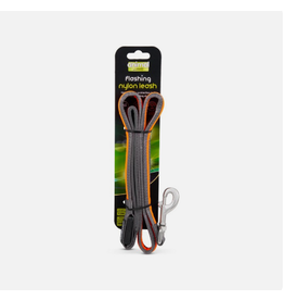 Animal Instincts AI Flashing Rechargable Light Nylon Lead Grey/Orange