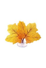 Angell Pets Micro Plant 4