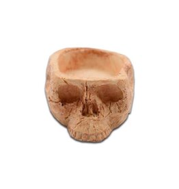 Angell Pets Human Skull Bowl - Micro