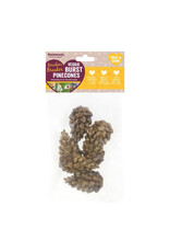 Rosewood RW Veggie Burst Pinecones