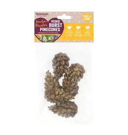 Rosewood RW Veggie Burst Pinecones