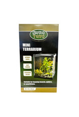 Betta Terra Betta Terra Mini Terrarium 16x16x30cm