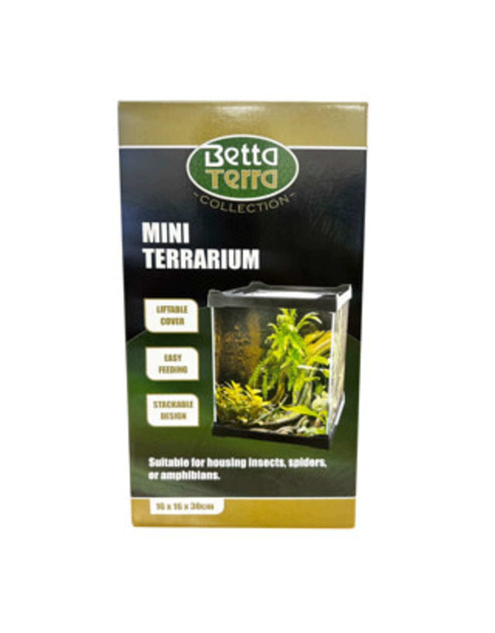 Betta Terra Betta Terra Mini Terrarium 16x16x30cm