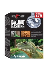 Repti Planet RP Basking Spot Lamp