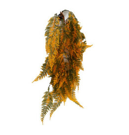 Betta Terra BT Green/Yellow Fern 70cm