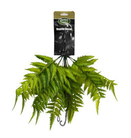 Betta Terra BT Shuttlecock Fern 42cm