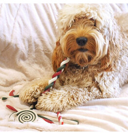 Rosewood RW No Rawhide Christmas Gift Bag 280g