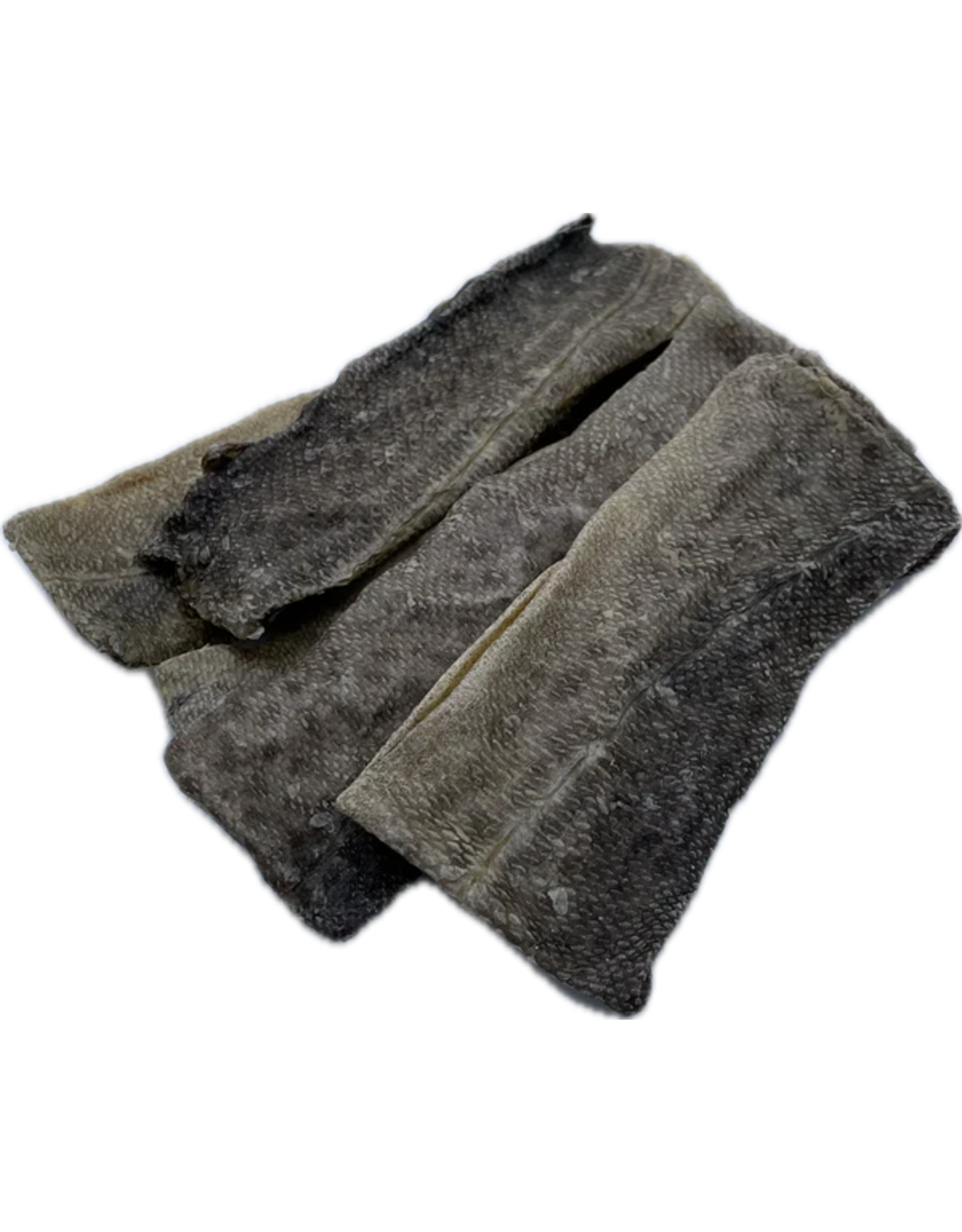 K9 Fish Flattie - Single