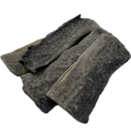 K9 Fish Flattie - Single