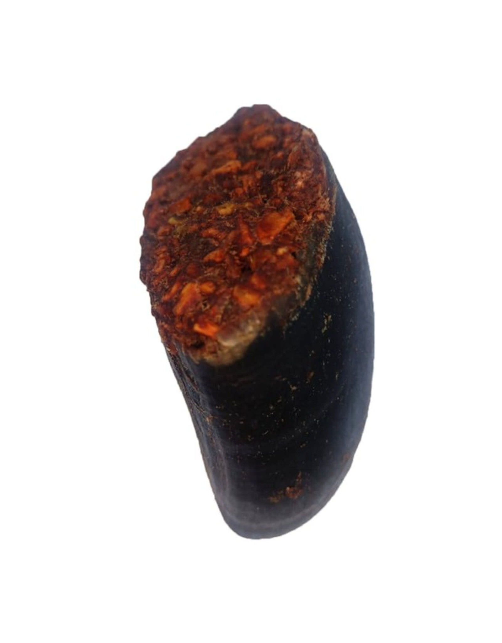 Doodles Deli DD Air Dried Buffalo Hooves Filled - Single