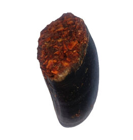 Doodles Deli DD Air Dried Buffalo Hooves Filled - Single