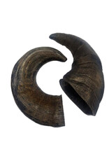 Doodles Deli DD Air Dried Buffalo Horn - Single