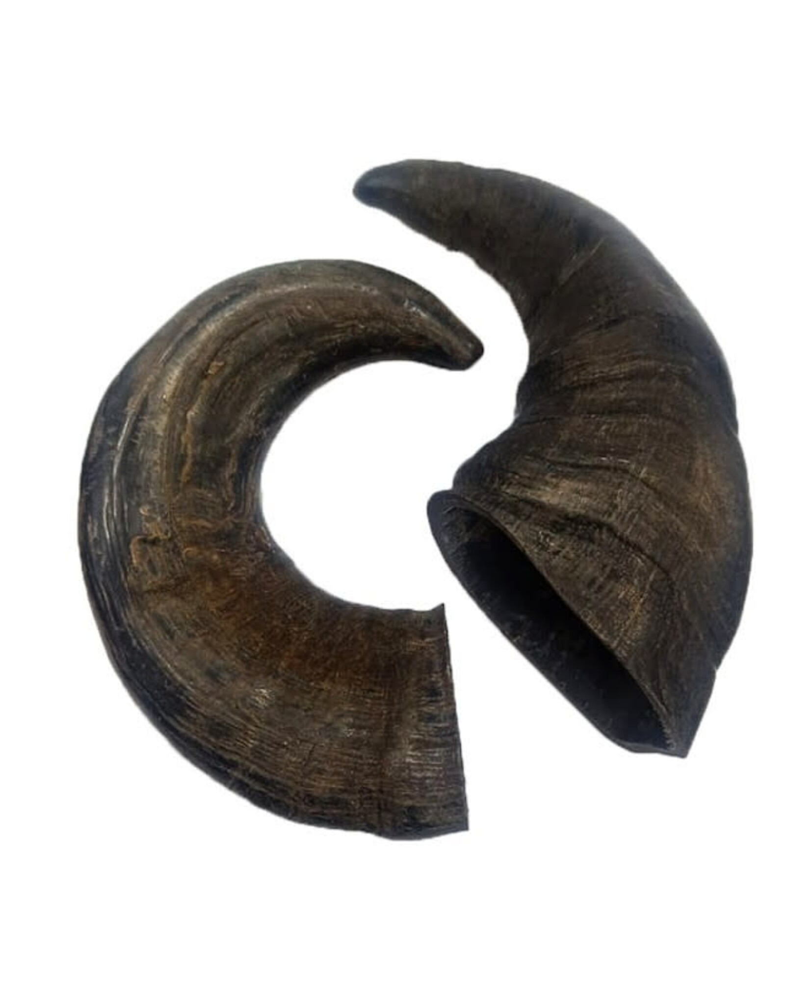 Doodles Deli DD Air Dried Buffalo Horn - Single