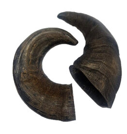 Doodles Deli DD Air Dried Buffalo Horn - Single