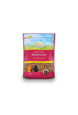 Harrison's Harrisons Dried Mealworms 100g