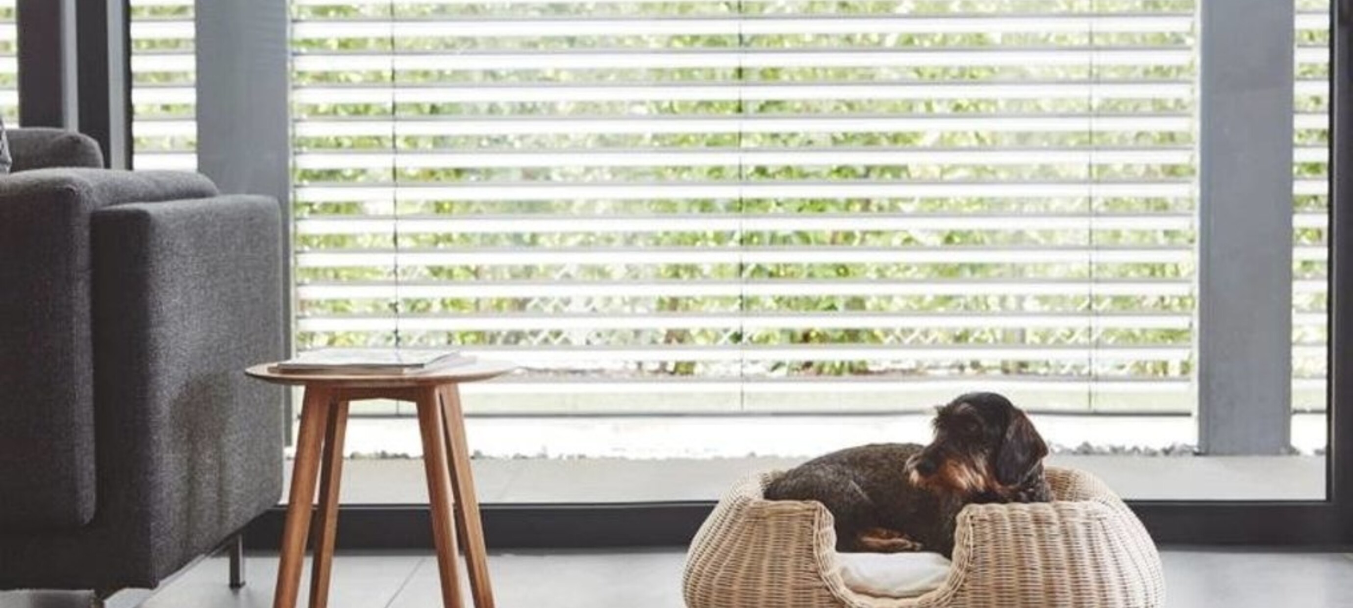 MiaCara hondenmand - Knusse eyecatchers & design