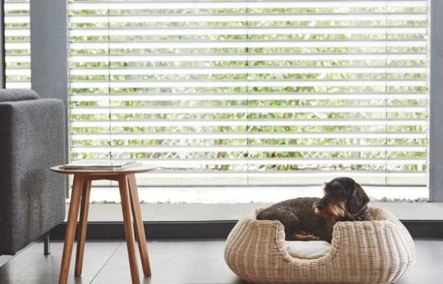 MiaCara hondenmand - Knusse eyecatchers & design