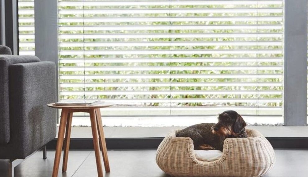 MiaCara hondenmand - Knusse eyecatchers & design