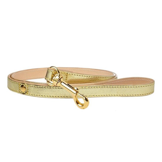 Dogatella Metallic Hondenriem gold