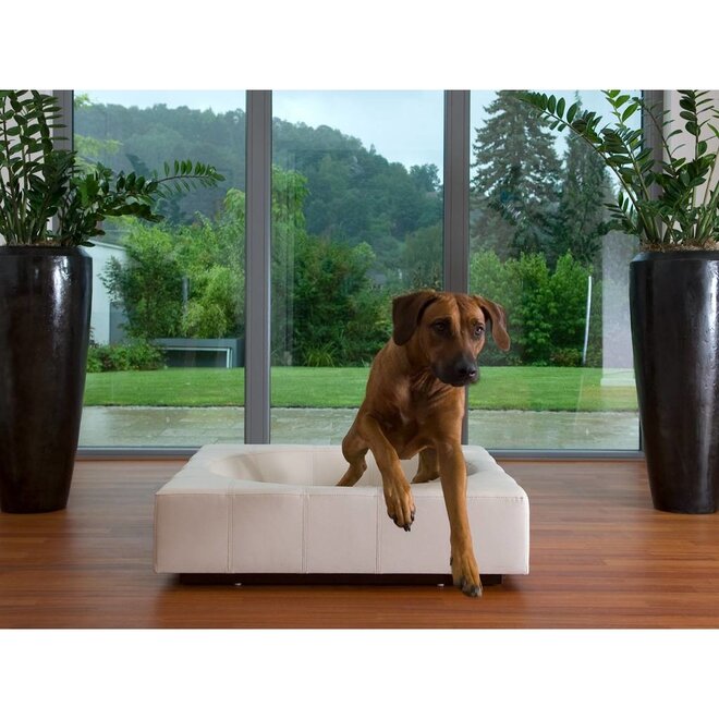Pet-Interiors Cube Leer Hondenmand