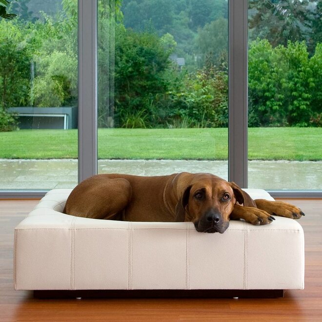 Pet-Interiors Cube Leer Hondenmand