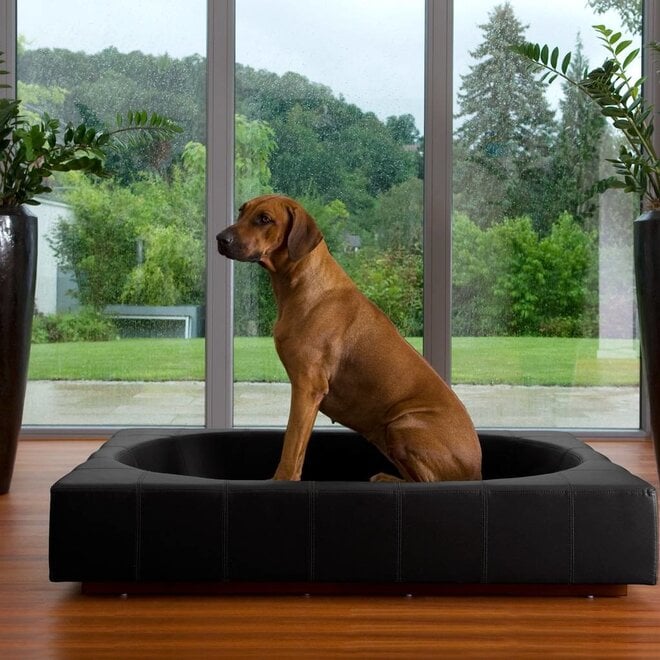 Pet-Interiors Cube Kunstleder Hondenmand