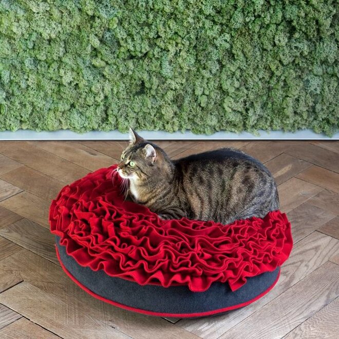 Pet-Interiors Rose Loungekussen