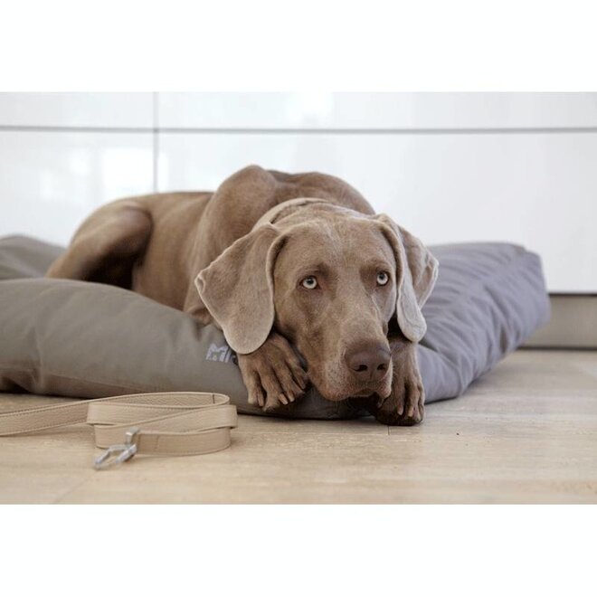 MiaCara Luvio Hondenkussen taupe