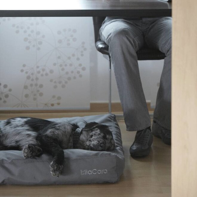 MiaCara Luvio Hondenkussen taupe