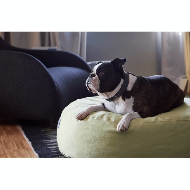 MiaCara Scala Hondenpoef staal