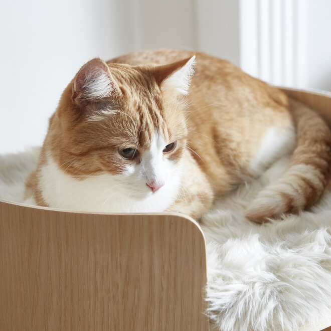 MiaCara Duo Hondenkussen mint