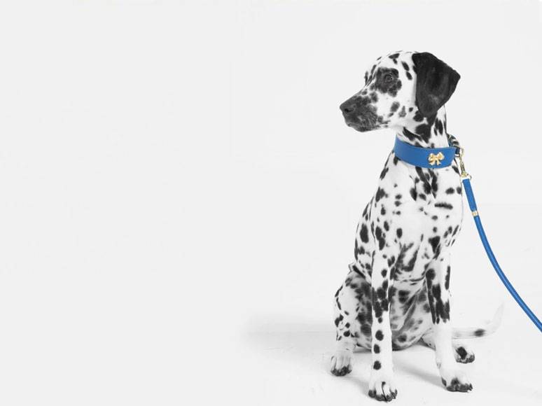 Stijlvolle<br>voerbakken