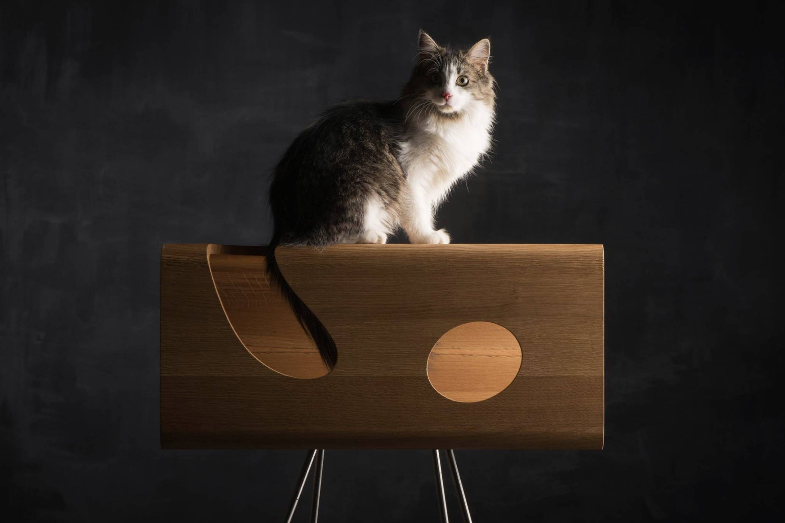 De online dierenwinkel met luxe honden- en katten producten