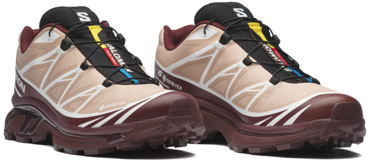 Salomon XT-6 GTX Sneakers 'Mahogr/Tawnyp/Black'