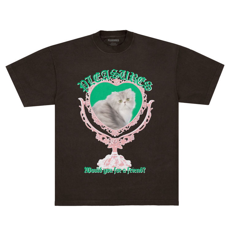 Pleasures Mirror T-Shirt 'Brown'