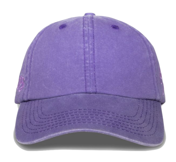 Pleasures Scrawl Polo Cap 'Eggplant'