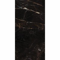 Vloertegel Lux Port Laurent Gepolijst 60X120 Cm (prijs per m2)