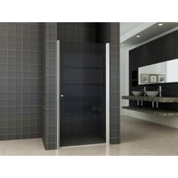 Wiesbaden nisdeur met profiel 1000x2020 8mm NANO rookglas