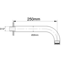 Wiesbaden inbouw-uitloop rond 25cm 1/2'' chroom