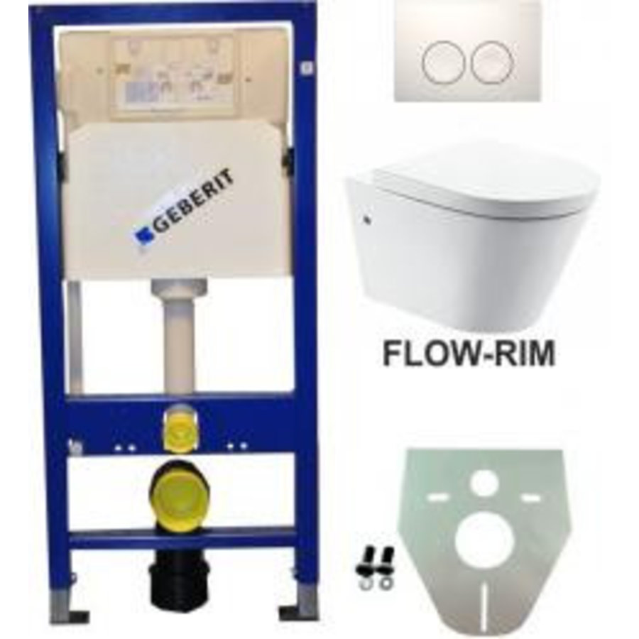 Geberit UP 100 Flow Rim wc+zitt.+ Delta 21 wit