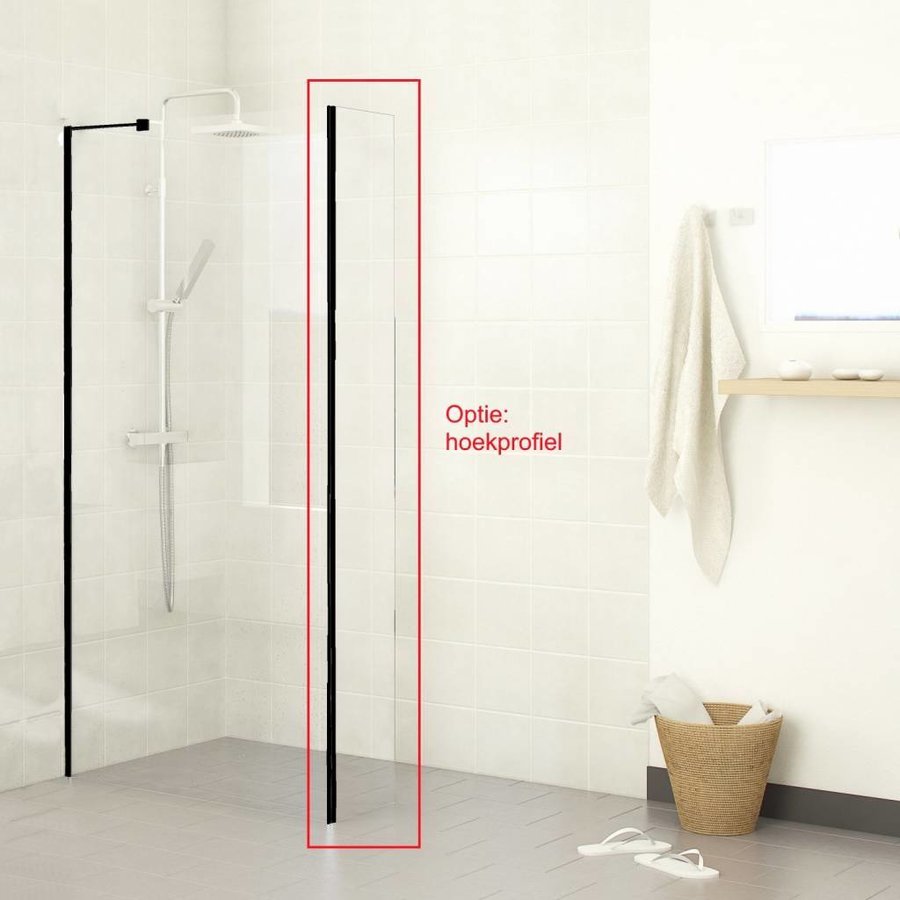 Inloopdouche Boss & Wessing Black 80x200cm Helder glas