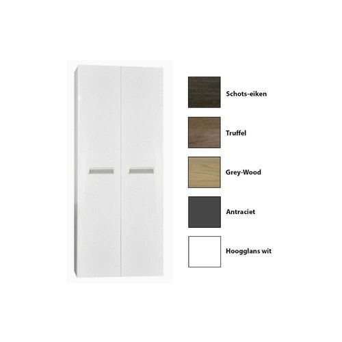 Kolomkast Sanicare Q2/Q3/Q8 2-Deurs Soft-Closing Alu Greep 160x67x32 cm Grey-Wood 