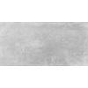 Vloertegel Limburg Gris 29x58,5 rett (prijs per m2)