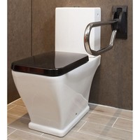 Toiletbeugel Handicare Linido Opklapbaar Aangepast Sanitair 60 cm RVS Gepolijst Antraciet