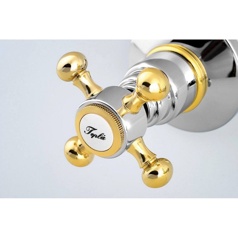 Douchekraan Inbouw Sapho Antea Mengkraan Afbouwdeel 2-weg Chroom / Goud